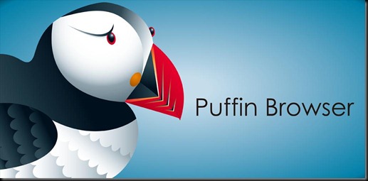 iPhone, Apple, Puffin, Flash